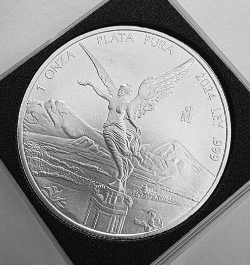 2024 1oz silver bullion
