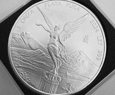 2024 1oz silver bullion