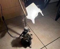 bronze lamp