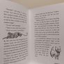 Come Down Golden, Children,s Story Book By Diana Noonan Image 8