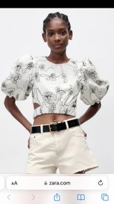 Embroidered Crop Top - Zara NEW