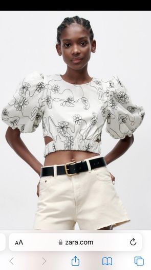 Embroidered Crop Top - Zara NEW