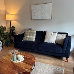 Navy Couch