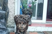 flowers pots
