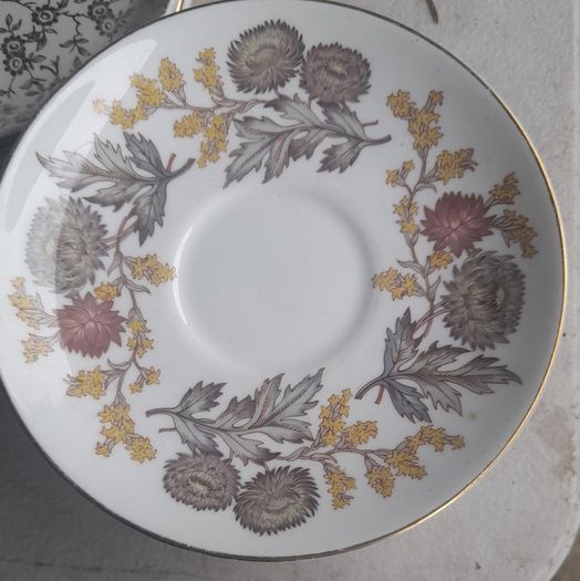 wedgewood litchfield