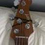 Cort GB Modern 5 Bass Guitar Image 8