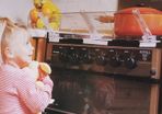 NEW safety cooker guard