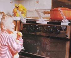 NEW safety cooker guard