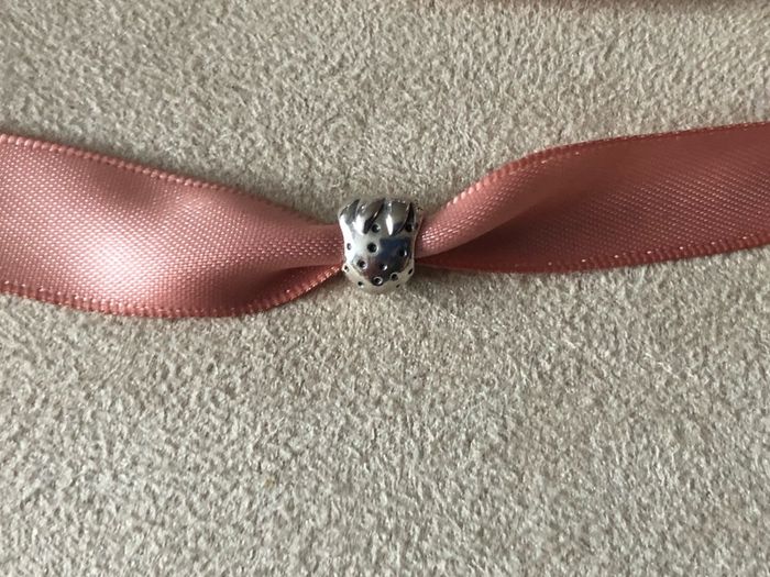 Genuine Pandora charm