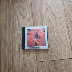 CD children of bodom something wild
