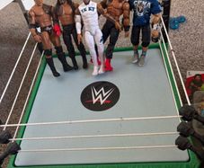 WWE ring