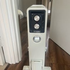 Dimplex ECR 2kW Oil-Free Column Radiator (Timer & Thermostat)