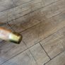 Walking stick Image 4