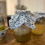 Organic kombucha scoby Image 2