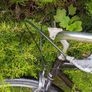 bike Image 10