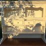 Laura Ashley Kitchen dresser Image 2
