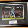 Sports Memorabilia Image 4