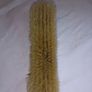 Antique Clothes Brush Image 4