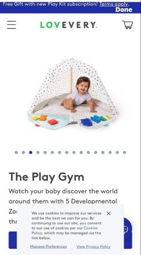 Lovevery play gym mat