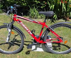 Orbita Sprintline Boys Bike