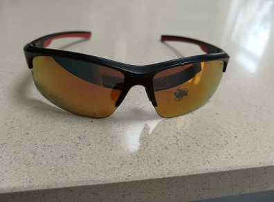 Sun Glasses-Polaroid