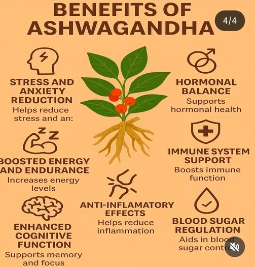 180 bottles Antioxidant Detox 90 Bottles Ashwagandha