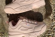 New Premium Pink FILA II Disruptors