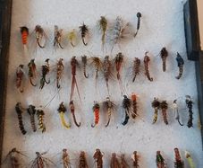 flies