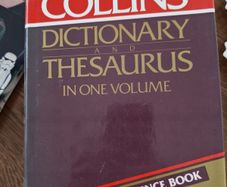 Collins Dictionary