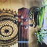 THE ROUGHNECK Fretless hand carved African neck with a vintage Hunters biscuit tin Image 2