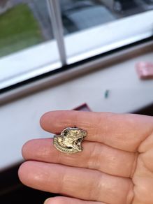 Jacket pin