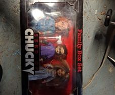 seed of chunky family box set rare