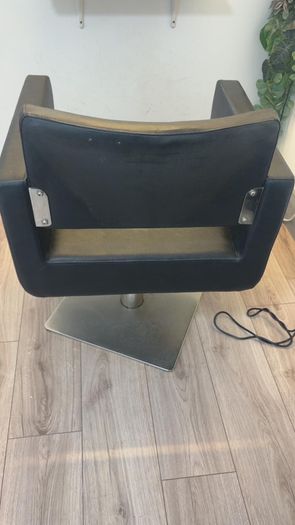 Salon Chair