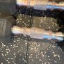 Dumbbells Rubber Hex 2kg Pair Image 4