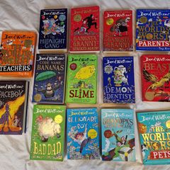14 David Walliams Book Collection