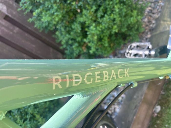 Ridgeback Avenida Ladies Bike 21