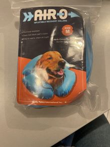 Collar (Inflatable Post Surgery)