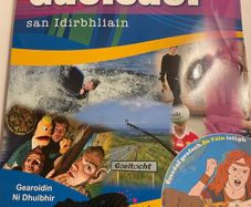 Gaelsaol san Idirbhliain - Irish Book