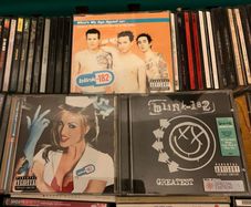 the blink-182 selection