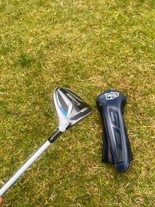 Sim max 3 wood
