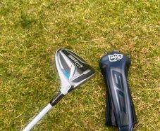 Sim max 3 wood