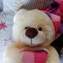 Bedtime bear Image 2