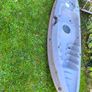 Kayak Image 3