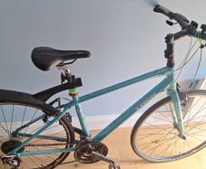 Womens Trek bike