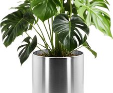 30cm Pots for Plants, Stainless Steel Round Rim Round Planter with Wheels Trolley, Large Plant Pots for Indoor, Outdoor, Business Space, Public Places, Easy to Clean and Move