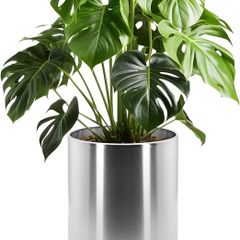 30cm Pots for Plants, Stainless Steel Round Rim Round Planter with Wheels Trolley, Large Plant Pots for Indoor, Outdoor, Business Space, Public Places, Easy to Clean and Move
