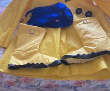 hallowe'en costume