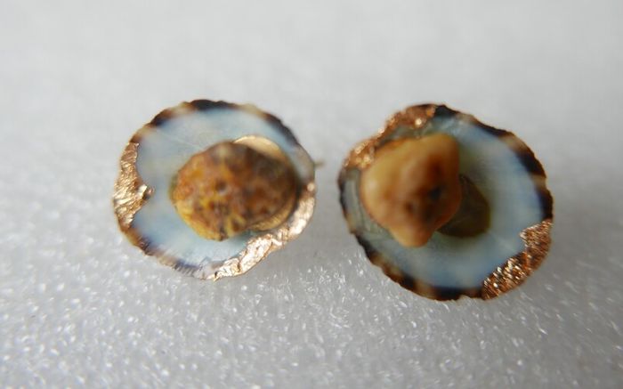 Handmade Seashell Stud Earrings