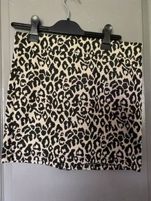 ladies skirt