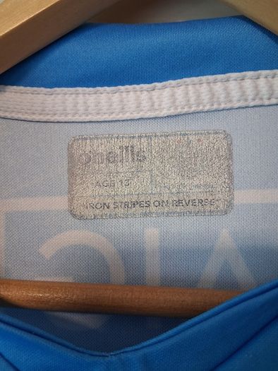 Dublin Jersey. Official Oneills Dublin GAA Home Jersey.Age 13 Years. Collect In Dublin Or Receive Via Post.